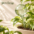 pervinna™ Glass Self-Watering Globe — main lifestyle view
